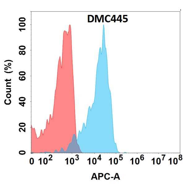 Flow cytometry analysis with Anti-SLAM/CD150 (DMC445) on HEK293 cells transfected with human SLAM/CD150 (Blue histogram) or HEK293 transfected with irrelevant protein (Red histogram).