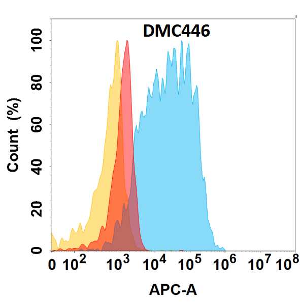 Flow cytometry analysis with Anti-CD117/c-kit/c-kit (DMC446) on HEK293 cells transfected with human CD117/c-kit/c-kit (Blue histogram) or HEK293 transfected with irrelevant protein (Red histogram), and Isotype antibody on HEK293 transfected with irrelevant protein (Orange histogram).