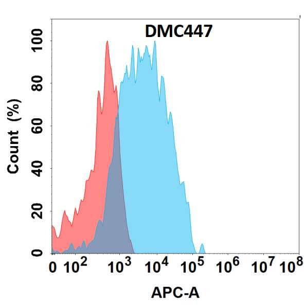 Flow cytometry analysis with Anti-CCR2 (DMC447) on HEK293 cells transfected with human CCR2 (Blue histogram) or HEK293 transfected with irrelevant protein (Red histogram).