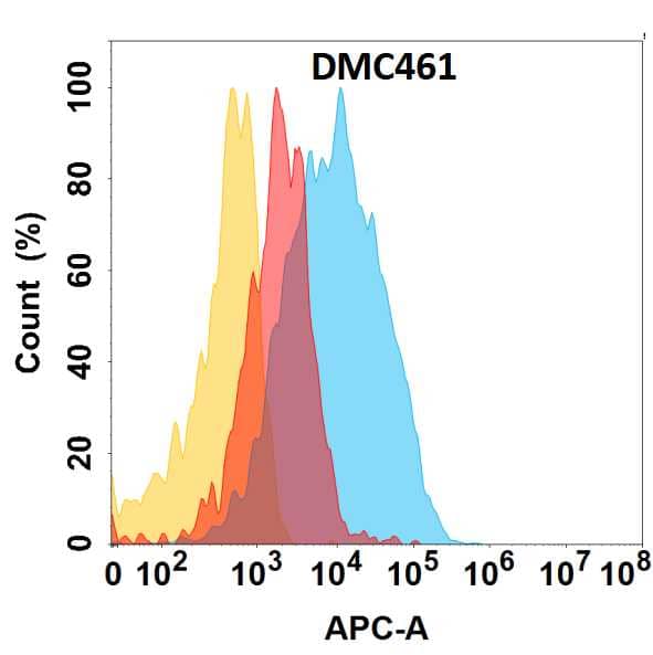Clusterin/APOJ protein is highly expressed on the surface of HEK293 cell membrane. Flow cytometry analysis with Anti-Clusterin/APOJ (DMC461) on HEK293 cells transfected with human Clusterin/APOJ (Blue histogram) or HEK293 transfected with irrelevant protein (Red histogram), and Isotype antibody on HEK293 transfected with irrelevant protein (Orange histogram).