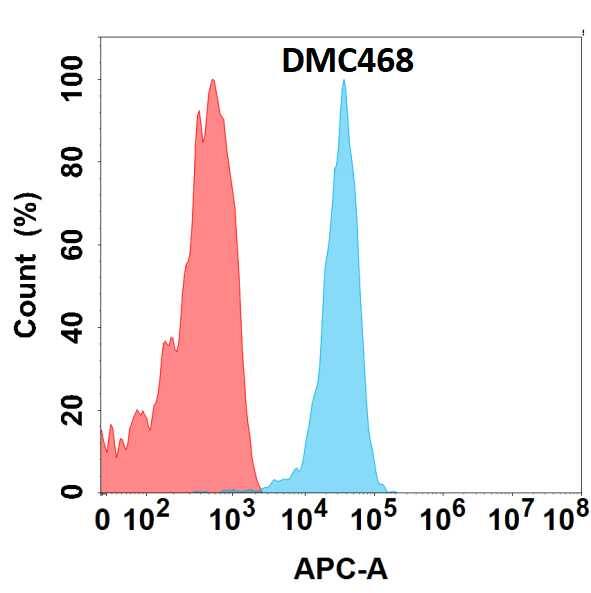 Flow cytometry analysis with Anti-CLEC-1 (DMC468) on HEK293 cells transfected with human CLEC-1 (Blue histogram) or HEK293 transfected with irrelevant protein (Red histogram).