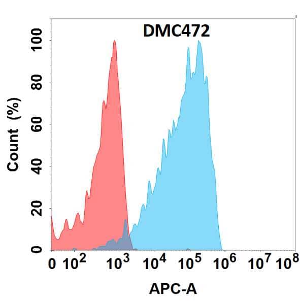 Flow cytometry analysis with Anti-EphA4 (DMC472) on HEK293 cells transfected with human EphA4 (Blue histogram) or HEK293 transfected with irrelevant protein (Red histogram).