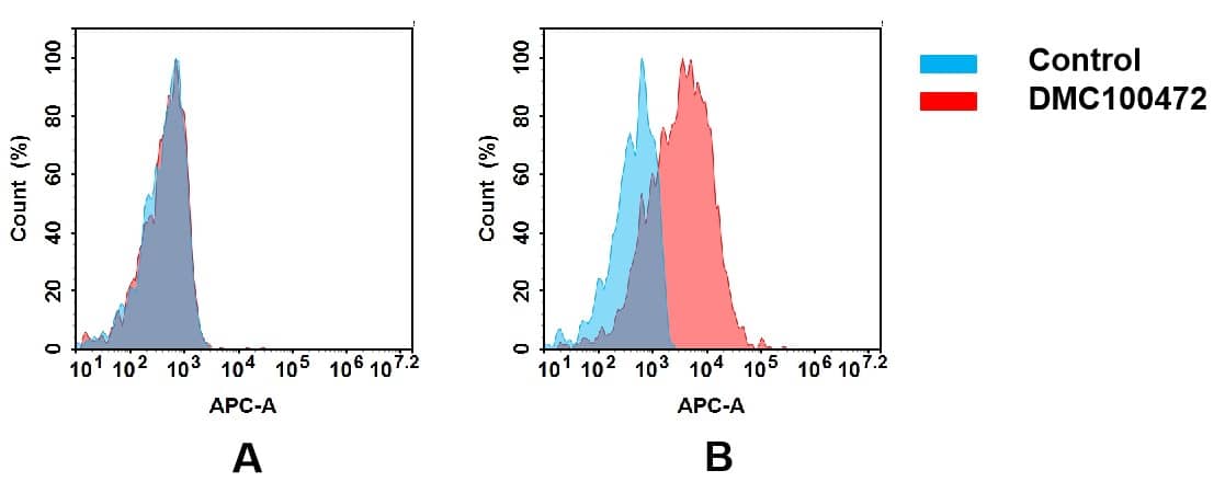Flow cytometry analysis of antigen binding of anti-human EPHA4 mAb(NBP3-48355). (A) NBP3-48355 does not bind to CHO-S cells that do not express EPHA4. (B) A clear peak shift of NBP3-48355 was seen compared to the control when incubated with EPHA4-expressing MCF-7 cells, indicating strong binding of NBP3-48355 to EPHA4. Antibodies were incubated at 5 ug/mL.
