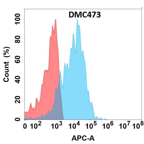 Flow cytometry analysis with Anti-Endomucin/Mucin -14 (DMC473) on HEK293 cells transfected with human Endomucin/Mucin -14 (Blue histogram) or HEK293 transfected with irrelevant protein (Red histogram).
