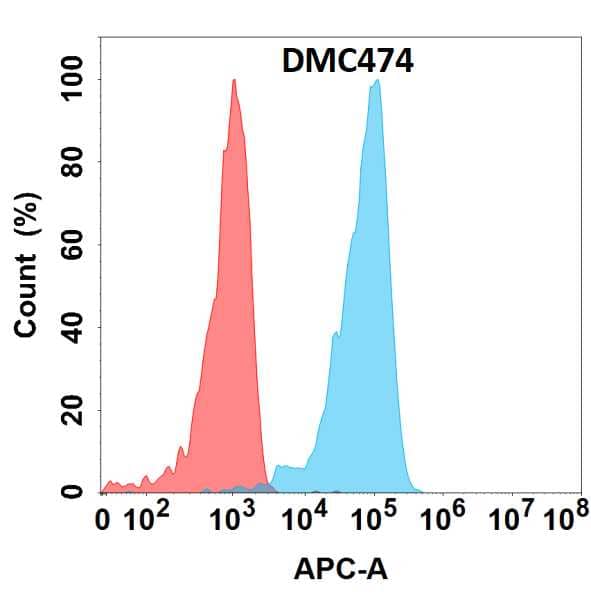 Flow cytometry analysis with Anti-GDF-15 (DMC474) on HEK293 cells transfected with human GDF-15 (Blue histogram) or HEK293 transfected with irrelevant protein (Red histogram).