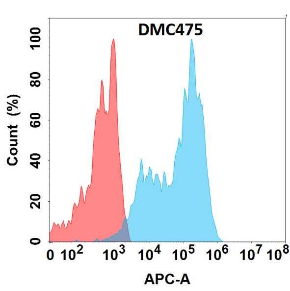 Flow cytometry analysis with Anti-Siglec-7/CD328 (DMC475) on HEK293 cells transfected with human Siglec-7/CD328 (Blue histogram) or HEK293 transfected with irrelevant protein (Red histogram).
