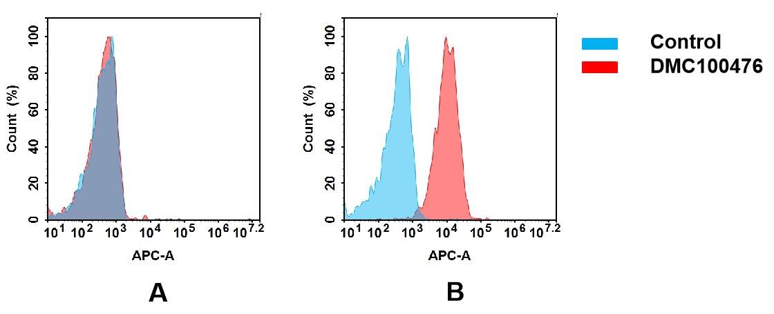 Flow cytometry analysis of antigen binding of anti-human CD164 mAb(NBP3-48359). (A) NBP3-48359 does not bind to CHO-S cells that do not express CD164. (B) A clear peak shift of NBP3-48359 was seen compared to the control when incubated with CD164-expressing Raji cells, indicating strong binding of NBP3-48359 to CD164. Antibodies were incubated at 5 ug/ml.