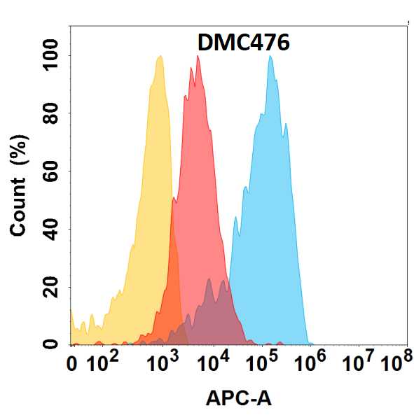 CD164 protein is highly expressed on the surface of HEK293 cell membrane. Flow cytometry analysis with Anti-CD164 (DMC476) on HEK293 cells transfected with human CD164 (Blue histogram) or HEK293 transfected with irrelevant protein (Red histogram), and Isotype antibody on HEK293 transfected with irrelevant protein (Orange histogram).