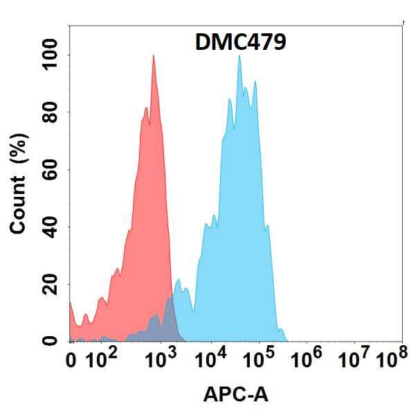 Flow cytometry analysis with Anti-APCDD1 (DMC479) on HEK293 cells transfected with human APCDD1 (Blue histogram) or HEK293 transfected with irrelevant protein (Red histogram).