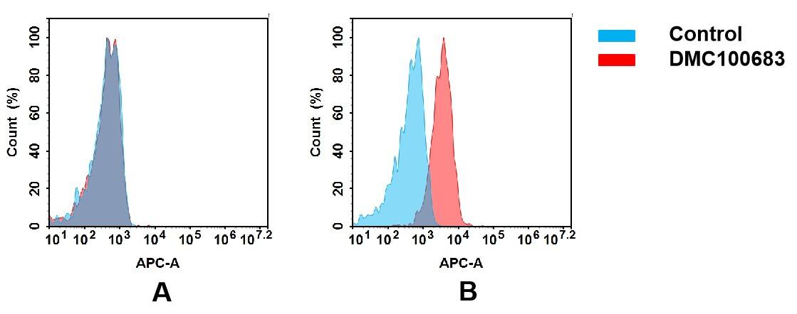 Flow cytometry analysis of antigen binding of anti-human TENM4 mAb(NBP3-48365). (A) NBP3-48365 does not bind to CHO-S cells that do not express TENM4. (B) A clear peak shift of NBP3-48365 was seen compared to the control when incubated with TENM4-expressing TT cells, indicating strong binding of NBP3-48365 to TENM4. Antibodies were incubated at 5 ug/mL.