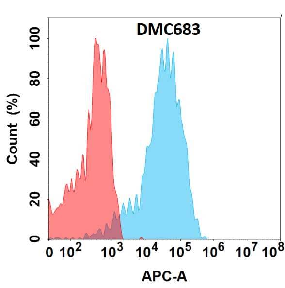 Flow cytometry analysis with Anti-Teneurin-4(DMC683) on HEK293 cells transfected with human Teneurin-4(Blue histogram) or HEK293 transfected with irrelevant protein (Red histogram).