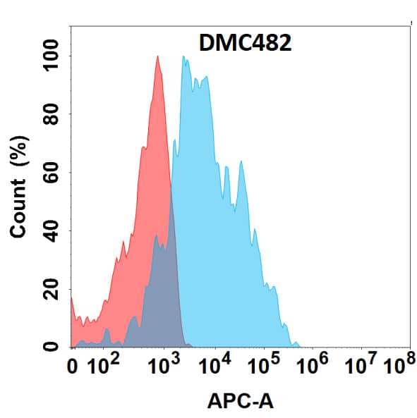 Flow cytometry analysis with Anti-C5L2/C5L2/GPR77 (DMC482) on HEK293 cells transfected with human C5L2/C5L2/GPR77 (Blue histogram) or HEK293 transfected with irrelevant protein (Red histogram).