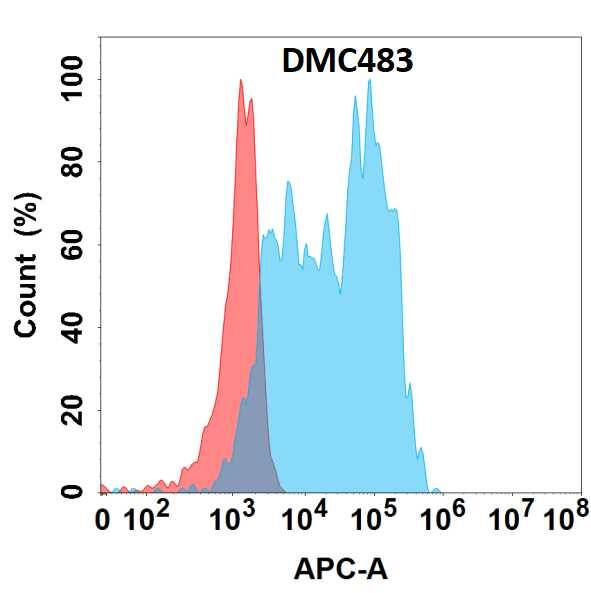 Flow cytometry analysis with Anti-Chitinase 3-like 1/YKL-40 (DMC483) on HEK293 cells transfected with human Chitinase 3-like 1/YKL-40 (Blue histogram) or HEK293 transfected with irrelevant protein (Red histogram).