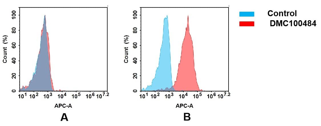 Flow cytometry analysis of antigen binding of anti-human CDH1 mAb( NBP3-48368). (A) NBP3-48368 does not bind to CHO-S cells that do not express CDH1. (B) A clear peak shift of NBP3-48368 was seen compared to the control when incubated with CDH1-expressing A431 cells, indicating strong binding of NBP3-48368 to CDH1. Antibodies were incubated at 5 ug/mL.