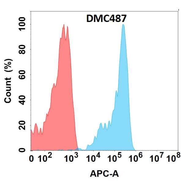 Flow cytometry analysis with Anti-Frizzled-10 (DMC487) on HEK293 cells transfected with human Frizzled-10 (Blue histogram) or HEK293 transfected with irrelevant protein (Red histogram).