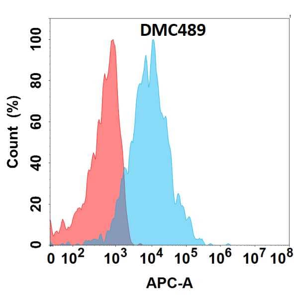 Flow cytometry analysis with Anti-CRTAM (DMC489) on HEK293 cells transfected with human CRTAM (Blue histogram) or HEK293 transfected with irrelevant protein (Red histogram).