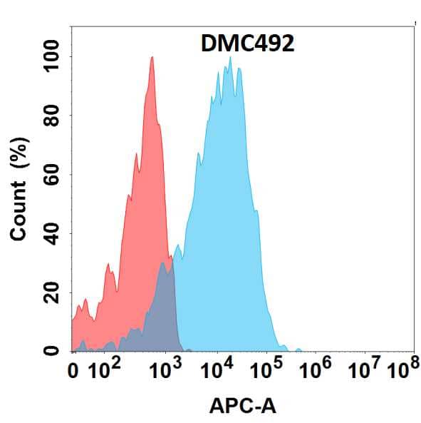 Flow cytometry analysis with Anti-GPR75 (DMC492) on HEK293 cells transfected with human GPR75 (Blue histogram) or HEK293 transfected with irrelevant protein (Red histogram).