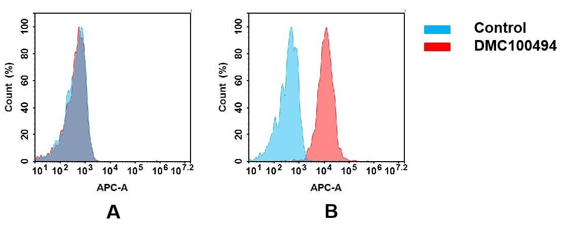Flow cytometry analysis of antigen binding of anti-human CD32a mAb(NBP3-48372). (A) NBP3-48372 does not bind to CHO-S cells that do not express CD32a. (B) A clear peak shift of NBP3-48372 was seen compared to the control when incubated with CD32a-expressing THP-1 cells, indicating strong binding of NBP3-48372 to CD32a. Antibodies were incubated at 5 ug/mL.