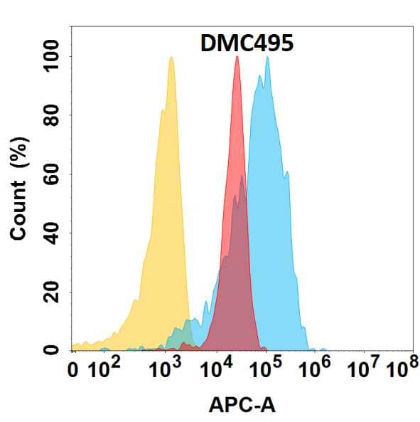 Flow cytometry analysis with Anti-YAP1 (DMC495) on HEK293 cells transfected with human YAP1 (Blue histogram) or HEK293 transfected with irrelevant protein (Red histogram), and Isotype antibody on HEK293 transfected with irrelevant protein (Orange histogram).
