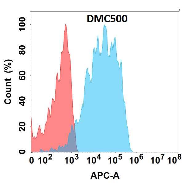Flow cytometry analysis with Anti-HB-EGF(DMC500) on HEK293 cells transfected with human HB-EGF (Blue histogram) or HEK293 transfected with irrelevant protein (Red histogram).