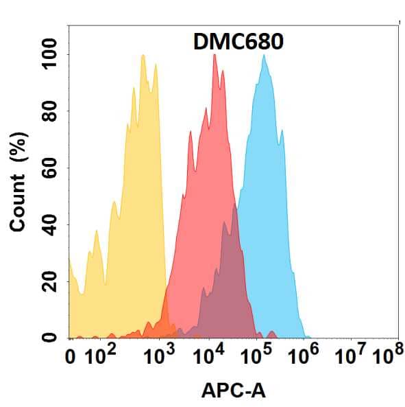 CXCR4 protein is expressed on the surface of HEK293 cell membrane. Flow cytometry analysis with Anti-CXCR4 (DMC680) on HEK293 cells transfected with human CXCR4 (Blue histogram) or HEK293 transfected with irrelevant protein (Red histogram), and Isotype antibody on HEK293 transfected with irrelevant protein (Orange histogram).