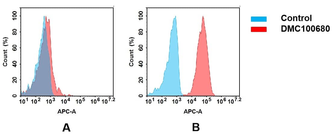 Flow cytometry analysis of antigen binding of anti-human CXCR4 mAb(NBP3-48380). (A) NBP3-48380 does not bind to hepG2 cells that do not express CXCR4. (B) A clear peak shift of NBP3-48380 was seen compared to the control when incubated with CXCR4-expressing Hela cells, indicating strong binding of NBP3-48380 to CXCR4. Antibodies were incubated at 5 ug/mL.