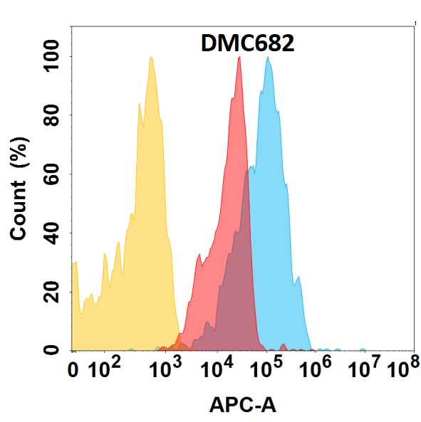 ALCAM/ALCAM/CD166 protein is expressed on the surface of HEK293 cell membrane. Flow cytometry analysis with Anti-ALCAM/ALCAM/CD166 (DMC682) on HEK293 cells transfected with human ALCAM/ALCAM/CD166 (Blue histogram) or HEK293 transfected with irrelevant protein (Red histogram), and Isotype antibody on HEK293 transfected with irrelevant protein (Orange histogram).