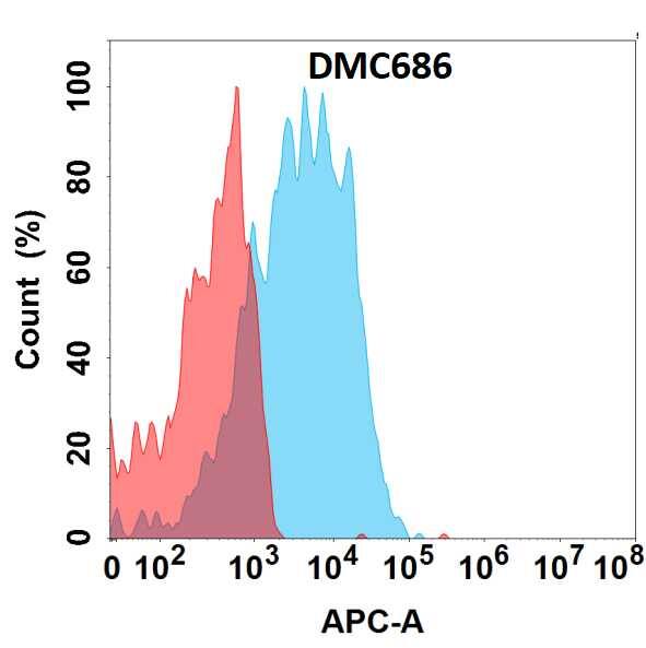 Flow cytometry analysis with Anti-Alkaline Phosphatase/Alkaline Phosphatase/ALPP(DMC686) on HEK293 cells transfected with human Alkaline Phosphatase/Alkaline Phosphatase/ALPP(Blue histogram) or HEK293 transfected with irrelevant protein (Red histogram).