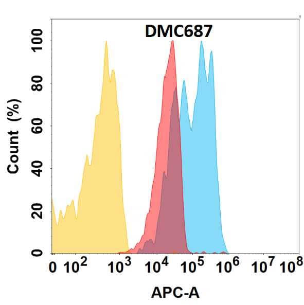 CXADR protein is highly expressed on the surface of HEK293 cell membrane. Flow cytometry analysis with Anti-CXADR (DMC687) on HEK293 cells transfected with human CXADR (Blue histogram) or HEK293 transfected with irrelevant protein (Red histogram), and Isotype antibody on HEK293 transfected with irrelevant protein (Orange histogram).
