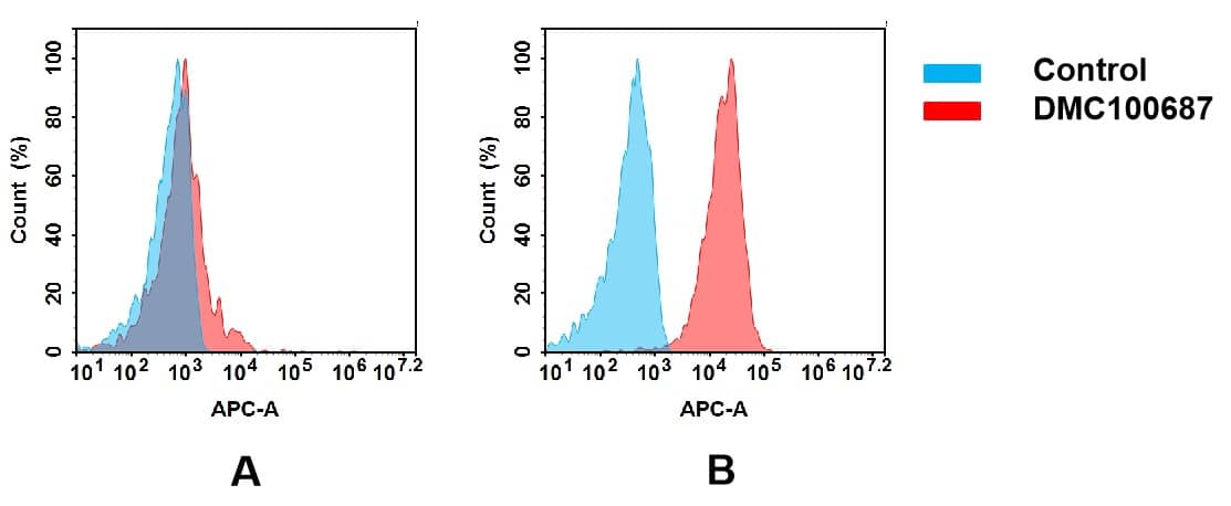 Flow cytometry analysis of antigen binding of anti-human CXADR mAb(NBP3-48384). (A) NBP3-48384 does not bind to K562 cells that do not express CXADR. (B) A clear peak shift of NBP3-48384 was seen compared to the control when incubated with CXADR-expressing Huh7 cells, indicating strong binding of NBP3-48384 to CXADR. Antibodies were incubated at 5 ug/mL.