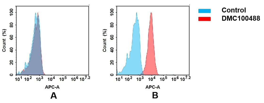 Flow cytometry analysis of antigen binding of anti-human LIV-1 mAb(NBP3-48385). (A) NBP3-48385 does not bind to CHO-S cells that do not express LIV-1. (B) A clear peak shift of NBP3-48385 was seen compared to the control when incubated with LIV-1-expressing Raji cells, indicating strong binding of NBP3-48385 to LIV-1. Antibodies were incubated at 5 ug/mL.