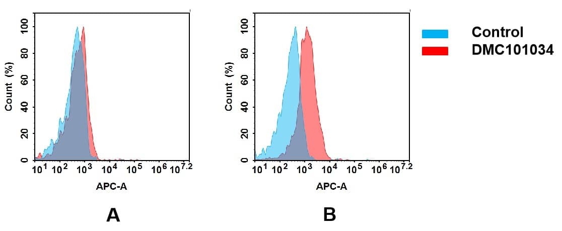 Flow cytometry analysis of antigen binding of anti-human BTN3A2 mAb(NBP3-48392). (A) NBP3-48392 does not bind to MCF-7 cells that do not express BTN3A2. (B) A clear peak shift of NBP3-48392 was seen compared to the control when incubated with BTN3A2-expressing Raji cells, indicating strong binding of NBP3-48392 to BTN3A2. Antibodies were incubated at 5 ug/mL.