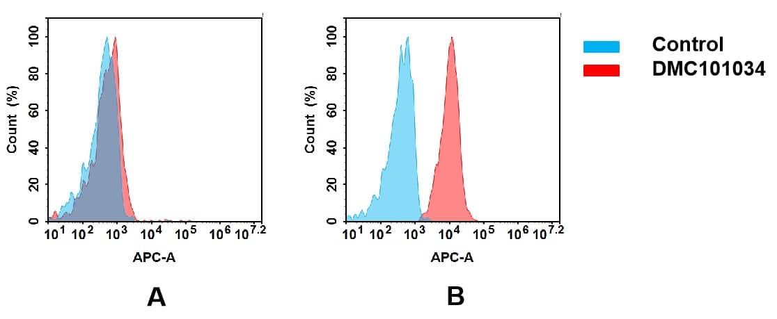 Flow cytometry analysis of antigen binding of anti-human BTN3A2 mAb(NBP3-48392). (A) NBP3-48392 does not bind to MCF-7 cells that do not express BTN3A2. (B) A clear peak shift of NBP3-48392 was seen compared to the control when incubated with BTN3A2-expressing 8226 cells, indicating strong binding of NBP3-48392 to BTN3A2. Antibodies were incubated at 5 ug/mL.