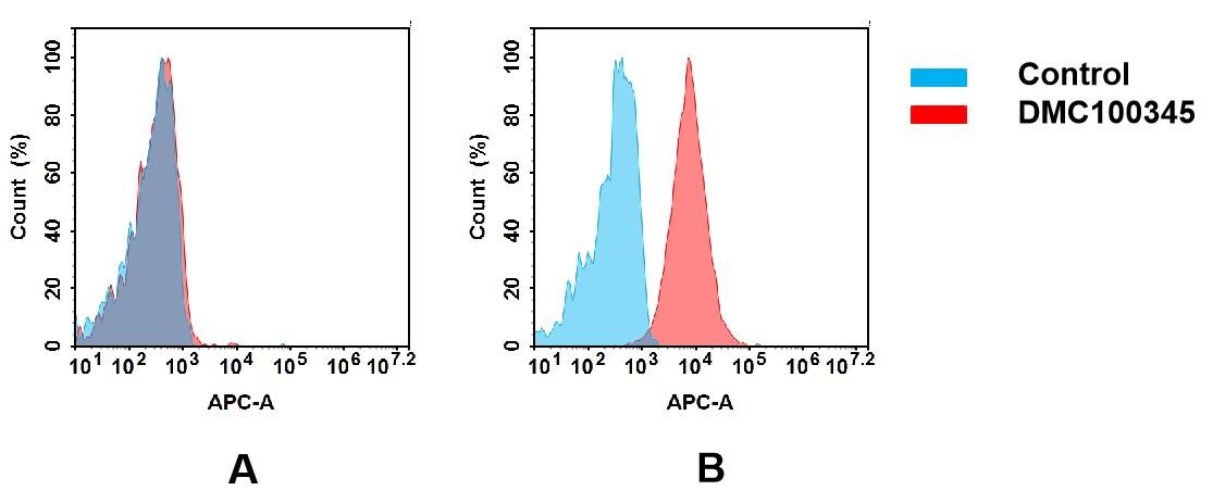 Flow cytometry analysis of antigen binding of anti-human CD93 mAb(NBP3-48394). (A) NBP3-48394 does not bind to Jurkat cells that do not express CD93. (B) A clear peak shift of NBP3-48394 was seen compared to the control when incubated with CD93-expressing THP-1 cells, indicating strong binding of NBP3-48394 to CD93. Antibodies were incubated at 5 ug/mL.