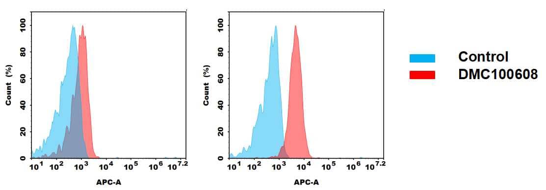 Flow cytometry analysis of antigen binding of anti-human MICA mAb(NBP3-48405). (A) NBP3-48405 does bind to PC3 cells that weakly express MICA(B) A clear peak shift of NBP3-48405 was seen compared to the control when incubated with MICA-expressing Hela cells, indicating strong binding of NBP3-48405 to MICA. Antibodies were incubated at 10 ug/mL. 