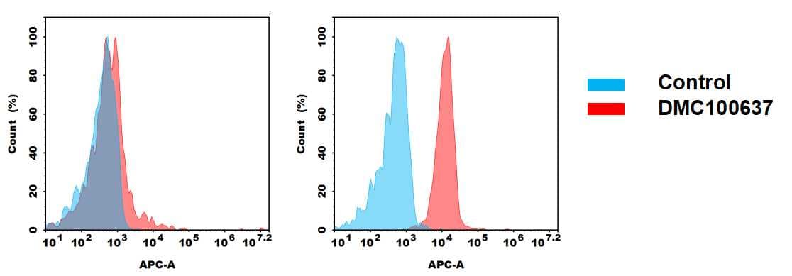Flow cytometry analysis of antigen binding of anti-human CDH17 mAb(NBP3-48406). (A) NBP3-48406 does not bind to 293T cells that do not express CDH17 (B) A clear peak shift of NBP3-48406 was seen compared to the control when incubated with CDH17 -expressing HT55 cells, indicating strong binding of NBP3-48406 to CDH17. Antibodies were incubated at 2ug/mL. 