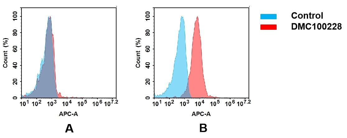 Flow cytometry analysis of antigen binding of anti-human ROR1 mAb(NBP3-48407). (A) NBP3-48407 does not bind to CHO-S cells that do not express ROR1. (B) A clear peak shift of NBP3-48407 was seen compared to the control when incubated with ROR1-expressing AGS cells, indicating strong binding of NBP3-48407 to ROR1. Antibodies were incubated at 5 ug/mL.