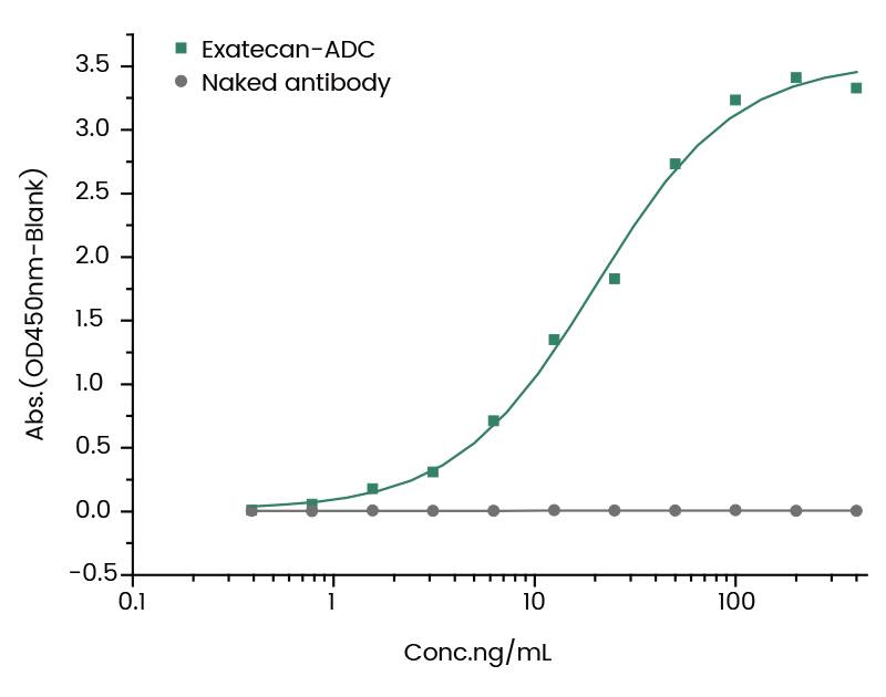 ELISA DXD Antibody (1) - Azide and BSA Free