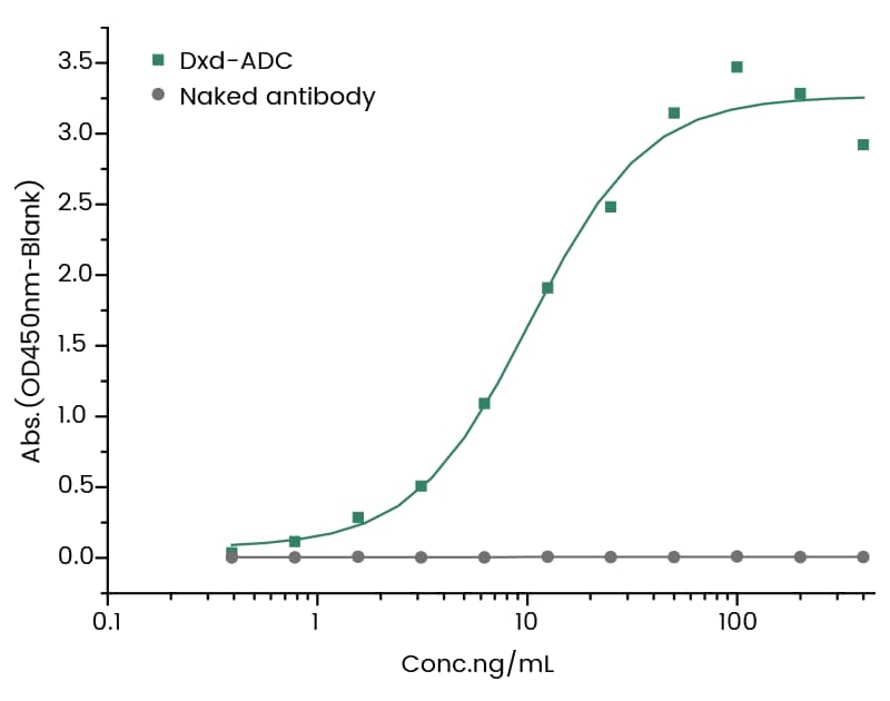 ELISA DXD Antibody (1) - Azide and BSA Free