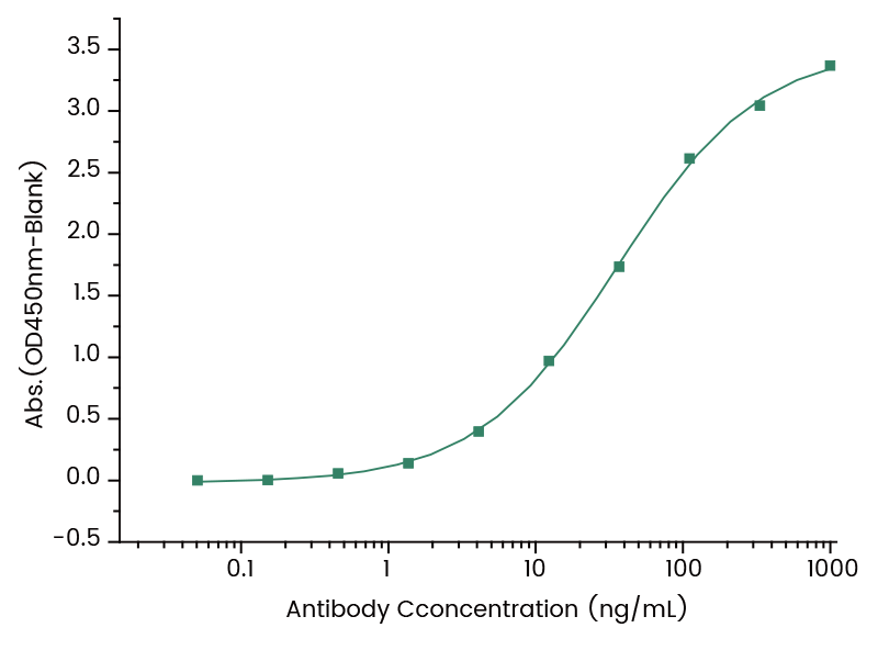 ELISA: Kanamycin Antibody (10) [NBP3-48434] - Immobilized OVA conjugated Kanamycin from 0.02 μg/ml (100 μL/well), add NBP3-48434 from 1 μg/mL (100 μL/well), the EC50 is 1-200 ng/mL.