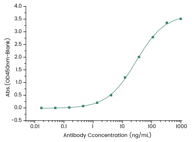 ELISA: Kanamycin Antibody (17) [NBP3-48435] - Immobilized OVA conjugated Kanamycin from 0.02 μg/ml (100 μL/well), add NBP3-48435 from 1 μg/mL (100 μL/well), the EC50 is 1-200 ng/mL.