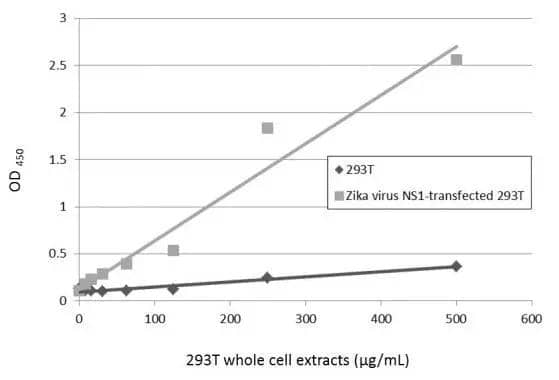 Sandwich ELISA detection of non-transfected and transfected 293T whole cell extracts using GTX634158 as capture antibody at concentration of 5 ug/mL and NBP3-48633 as detection antibody at concentration of 1 ug/mL. Rabbit IgG antibody (HRP) was diluted at 1:10000 and used to detect the primary antibody. 