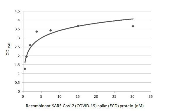 Sandwich ELISA detection of recombinant SARS-CoV-2 (COVID-19) Spike (ECD) protein, His tag (active) 