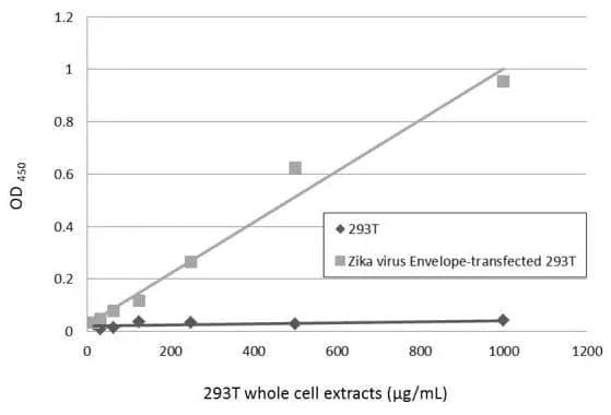 Sandwich ELISA detection of non-transfected and transfected 293T whole cell extracts using GTX133326 as capture antibody at concentration of 5 ug/mL and NBP3-48648 as detection antibody at concentration of 1 ug/mL. Mouse IgG antibody (HRP) was diluted at 1:10000 and used to detect the primary antibody. 
