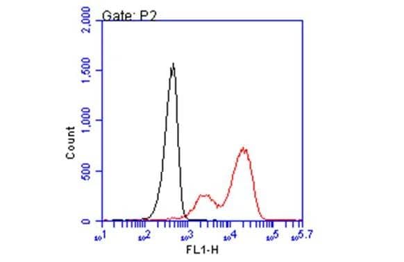 HLA B7 antibody [BB7.1] (NBP3-48731) detects HLA B7 protein by flow cytometry analysis. Sample: non-fixed and non-permeabilized PBMC; gated on monocytes.Black: Unlabelled sample was used as a control.Red: HLA B7 antibody [BB7.1] (NBP3-48731) dilution: 1:50.Acquisition of 20,000 events were collected using a Alexa Flour 488-conjugated secondary antibody for FACS analysis. 