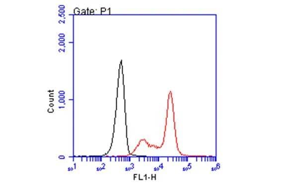 HLA A2 antibody [BB7.2] (NBP3-48732) detects HLA A2 protein by flow cytometry analysis. Sample: non-fixed and non-permeabilized PBMC; gated on granulocytes.Black: Unlabelled sample was used as a control.Red: HLA A2 antibody [BB7.2] (NBP3-48732) dilution: 1:50.Acquisition of 20,000 events were collected using a Alexa Flour 488-conjugated secondary antibody for FACS analysis. 