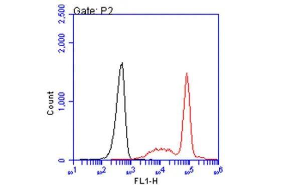 HLA A2 antibody [BB7.2] (NBP3-48732) detects HLA A2 protein by flow cytometry analysis. Sample: non-fixed and non-permeabilized PBMC; gated on monocytes.Black: Unlabelled sample was used as a control.Red: HLA A2 antibody [BB7.2] (NBP3-48732) dilution: 1:50.Acquisition of 20,000 events were collected using a Alexa Flour 488-conjugated secondary antibody for FACS analysis. 
