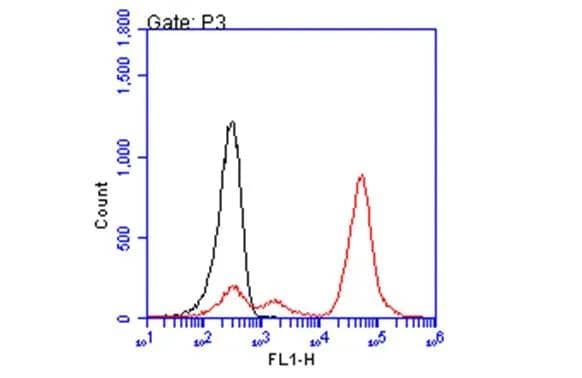 HLA A2 antibody [BB7.2] (NBP3-48732) detects HLA A2 protein by flow cytometry analysis. Sample: non-fixed and non-permeabilized PBMC; gated lymphocytes.Black: Unlabelled sample was used as a control.Red: HLA A2 antibody [BB7.2] (NBP3-48732) dilution: 1:50.Acquisition of 20,000 events were collected using a Alexa Flour 488-conjugated secondary antibody for FACS analysis. 