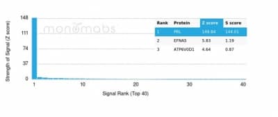 Analysis of Protein Array containing more than 19,000 full-length human proteins using Prolactin Antibody (rPRL/4907).