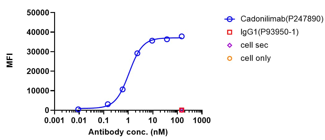 Cadonnilimab bound to PD-1-Jukat cells,  and then rebounded to fluorescent secondary antibodies(Anti-Human IgG, Fcgamma) , and test by flow cytometry. As shown in fig, Cadonnilimab bound to PD-1-Jukat cells, and the EC50 was 1.071 nM.